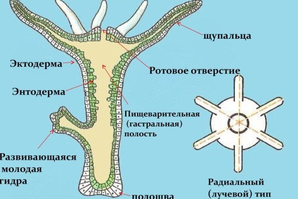 Kraken актуальные ссылки официальный сайт