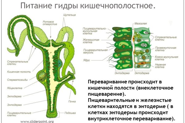 Кракен сайт store