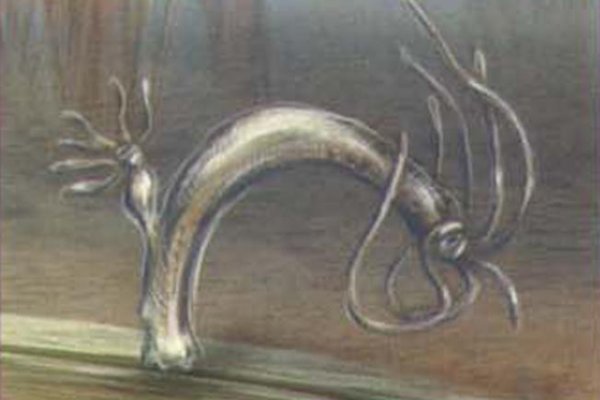 Kra9gl